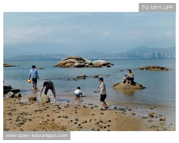 惠州赶海人台风后收获颇丰，赶海 惠州